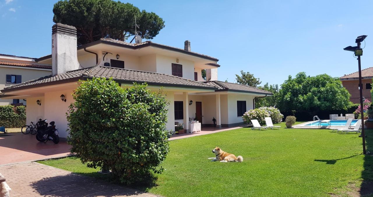 La Pedica B&B Гротаферата Екстериор снимка